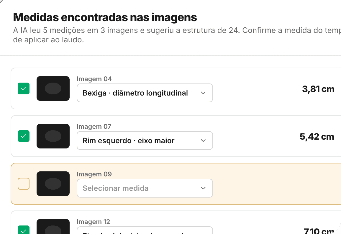As medidas que a IA encontrou nas imagens, cada uma ligada a uma estrutura e uma esperando a confirmação da veterinária.